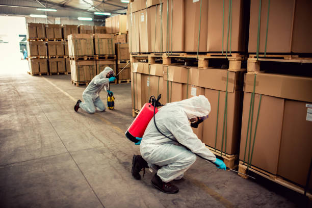 Best Ant Control Services  in Hiram, OH