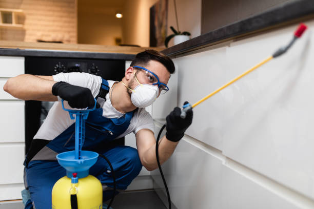 Pest Control for Restaurants in Hiram, OH