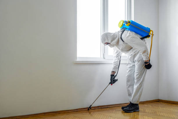Best Pest Prevention Services  in Hiram, OH
