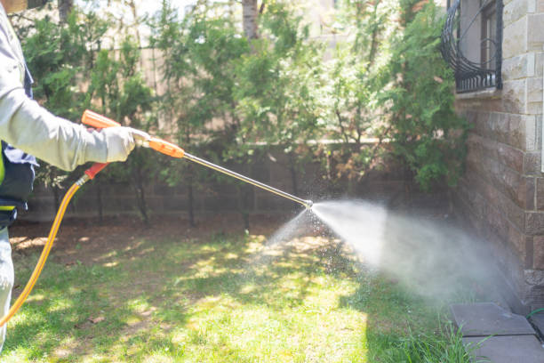 Best Emergency Pest Control  in Hiram, OH
