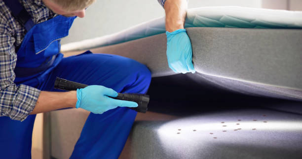 Wasp Removal Services in Hiram, OH