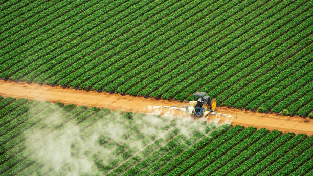 Best Termite Control Services  in Hiram, OH